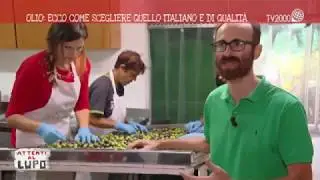 Gaeta: alla scoperta delle olive da tavola