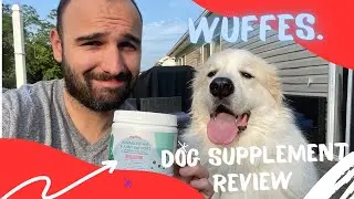 Wuffes Dog Supplement Review - Joint Chews