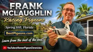 Best Pigeons Frank McLaughlin Interview Spring Hill Florida