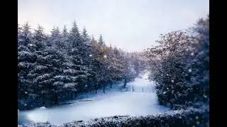 This Sound Calms Your Mind!