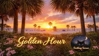 Golden Hour Beach Ambience 🌅 Gentle Waves, Birds & Quiet Chatter