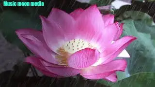 prabinkumar ayya.ayyavazli song.jermanusbritto.musicmoon.