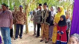 Suasana Petualangan Indahnya Desaku Batang Pane III Acara Pesta Pernikahan Adat Jawa Temu Pengantin 