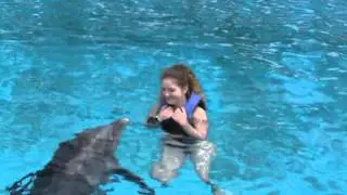 kiss with dolphin