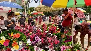 FURUSH BEL GERBERA ROSE FLOWER PLANT AT GALIFF STREET | KOLKATA PLANT MARKET | Best Flowers Forever