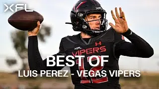 Luis Perez Vegas Vipers - XFL Highlights