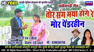 Tor se maya hoge re mor pendarhin //cg video // डीडीएम रंगीला & विमला पावले // manvi music payrapali