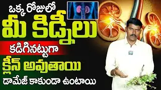 How to Cleanse Kidneys | Kidney Detoxification drink | Simple tip to make your kidneys healthy