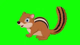 cute squirrel 2d animation screen green
