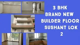 3 bhk Builder Floor In Gurgaon II  Sushant Lok 2 Sector 55 II