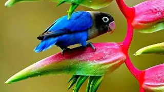 Exploring Nature | Photography: Visual Storytelling | Beautiful Journey
