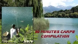 NATURA PECHE: Compilation p&ecirc;che &agrave; la carpe 2016 // Carp Fishing Compilation