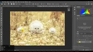 how to make clone photo in photoshop 2022