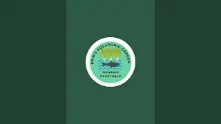 Ihang ko na ang alugbati - Erin's Aquaponic Garden is live!