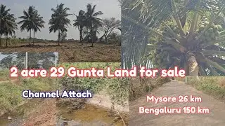2 acre 29 gunta land for sale 15 coconut tree channel attach Mysore 26 km Bengaluru 150 km red soil