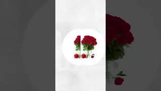 Service for the International Flower Delivery | Russian Flora | Gifts #shorts
