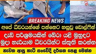 අපේ පන්නෙට හසුවූ ඩොල්ෆින් දැඩි පරිශ්‍රමයකින් බේරා මුදා හැරියාම ධීවරයින්ට ස්තූති කරන්න නැවත ආපු හැටි