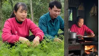 Little by Little Every Day: Huyen & De Build a Better Life from the Backyard Garden