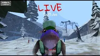 W GUY | WINTER LIVE STEAM | Animal company