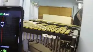 Musser M55 Vibraphone with motor (and non-working Mic)
