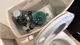 How To Replace Flush Valve Assembly on American Standard Champion Toilet