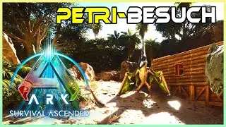 ARK Survival Ascended - 4 - Petri-Besuch & Wohnen auf Zeit⭐ ASA Let's Play deutsch | German