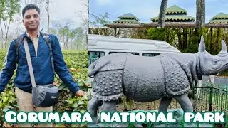 gorumara national park//gorumara jungle safari 2024