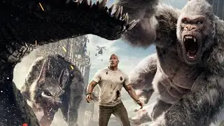 VIDEO 5