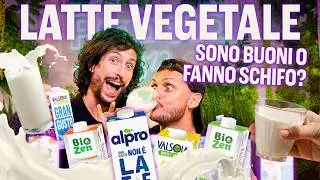 Plant-based milks: are they good or bad? | Planet B12