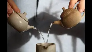 Mes nouvelles théières à gongfucha