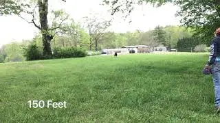 150 Feet Bodhi speed and Distance 2020