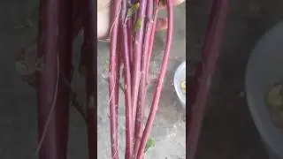 তিল বাটা দিয়ে ডাটা চচ্চড়ি রেসিপি। Til Bata Diye data chochodi recipe