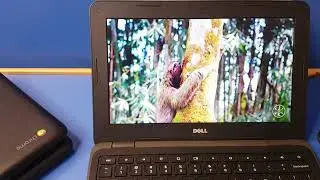Dell Chromebook Laptop 3180 Chromebook Specs | danka.pk