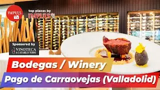 Bodega Pago de Carraovejas: vino, innovación y Restaurante Estrella Michelin ⭐ AMBIVIUM