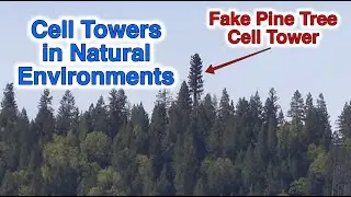 Cell Tower Radiation Microwave Radiation Dangers In a Natural Environment