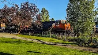 Speedy CN Stack Train At Fort Langley BC Canada 