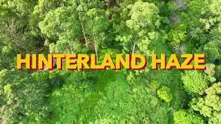 Hinterland Haze // Life Is A Myth