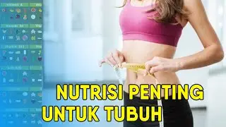 Jenis Nutrisi Penting untuk Tubuh | Hidup Sehat