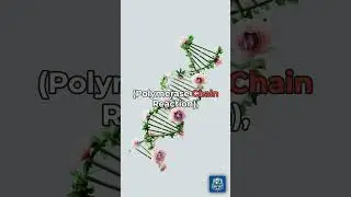 Genetic Giggles: Quirky Facts About DNA Research