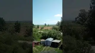 ЕАО.с Ленинское СХТ.2023 .EAO s Lenynskoe SHT,2023 g.