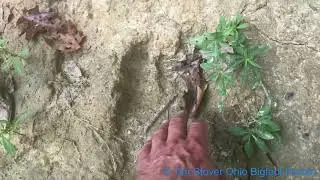Ohio Bigfoot Hunter @ U-turn Prints