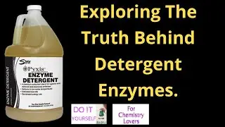 Exploring the Truth Behind Detergent Enzymes.