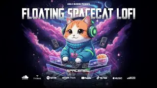Spacemew - Floating Spacecat Lofi - Lo-fi Hip Hop for Study, Relax, Work (Audio)