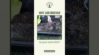 Why add biochar to your worm bin?