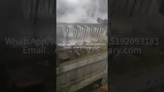 Greasy wool washing and drying production line