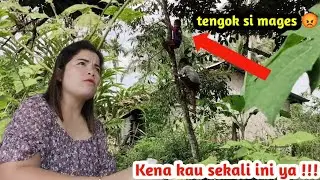 Saya cari Ami dan mboy untuk di libas ini