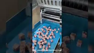 Continuous freezing cutter/frozen meat cutting machinery #foodmachine #machinerytechnology #machine