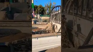 Dog operation 🐕 | Daily Vlog | Mini vlog | Asif Daily life | Pakistani vloger