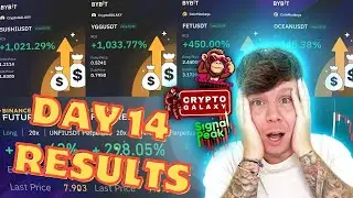 Криптовалютные сигналы: лучшие криптосигналы в Telegram в 2024 году🔴