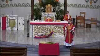 St. Michael Catholic Church - St. Michael, MN - Palm Sunday Mass 8AM 4/5/2020